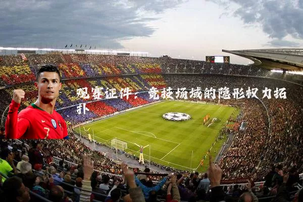 观赛证件：竞技场域的隐形权力拓扑